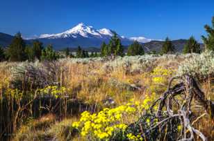 Mt. Shasta-3268.jpg Mt. Shasta-3268.jpg